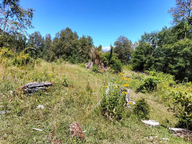 VENTA CAMPO PARA INVERSIÓN PUCÓN (141158) - Imagen 17