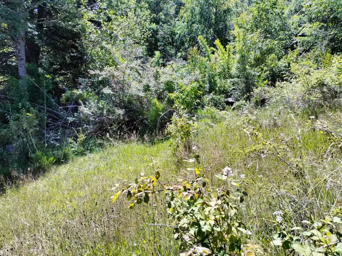 VENTA CAMPO PARA INVERSIÓN PUCÓN (141158) - Imagen 11