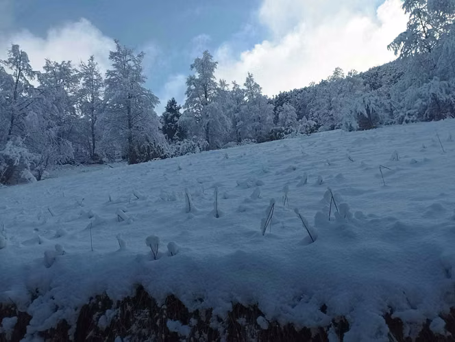 VENTA CAMPO PARA INVERSIÓN PUCÓN (141158)