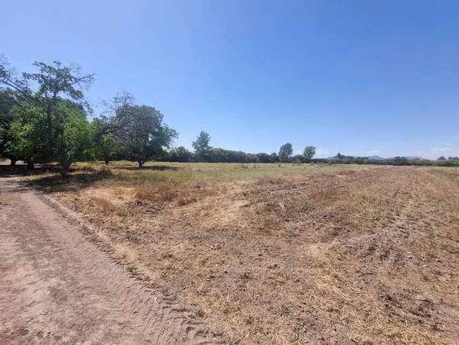 Predio Agrícola 8ha en Lo Herrera  (141165)