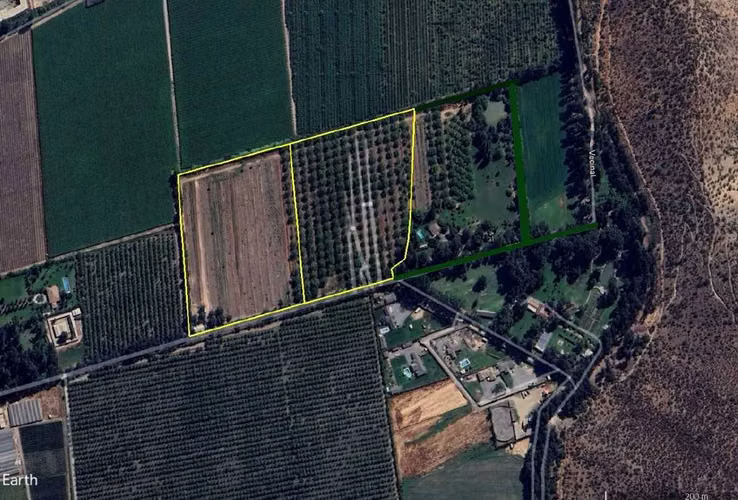 Predio Agrícola 8ha en Lo Herrera  (141165)