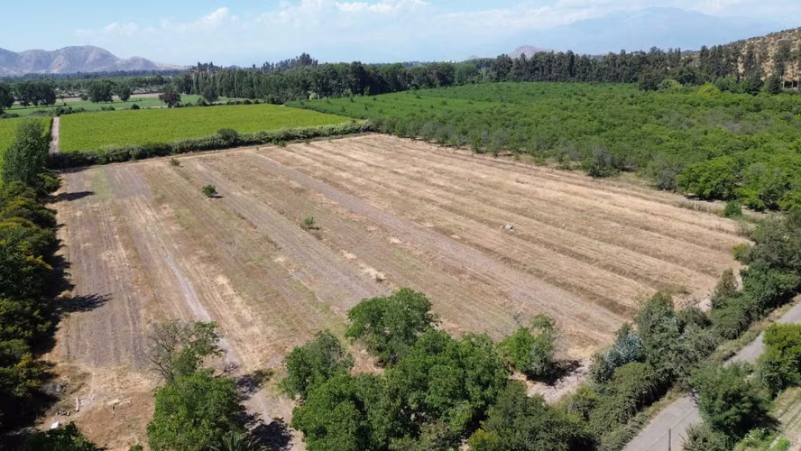 Predio Agrícola 8ha en Lo Herrera  (141165)