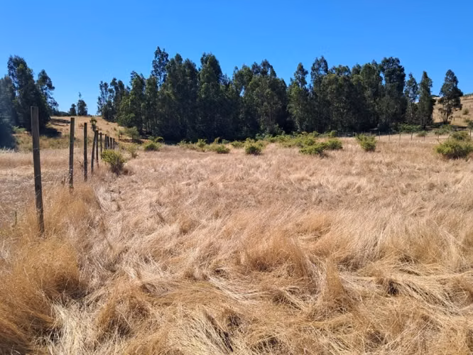 Venta de terreno en sector Monterrey alto, yumbel - Imagen 11