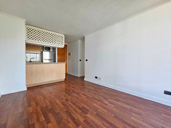 VENTA DPTO. PROVIDENCIA, AV. ANDRES BELLO. (141347)