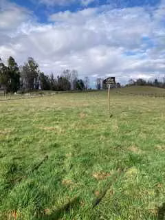 Venta parcela Mune Alto , Pitrufquen (141358)