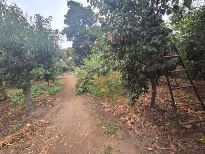 Se Vende Casa con Amplio terreno Limache