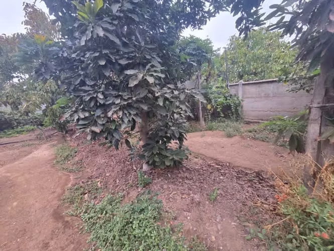 Se Vende Casa con Amplio terreno Limache