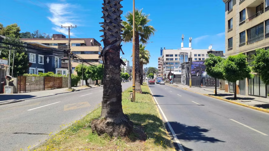 Local comercial exelente ubicacion (81634)