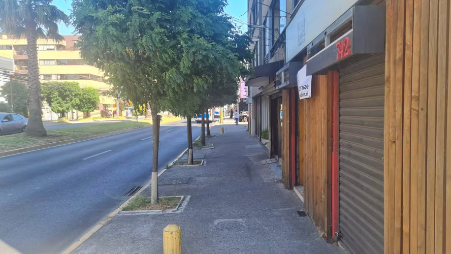 Local comercial exelente ubicacion (81634)