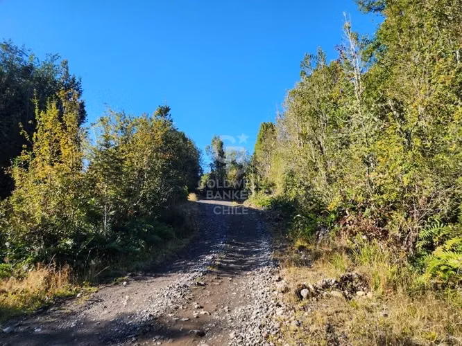 Parcela 10.000 m² cerca de Volcán Calbuco con factibilidad.