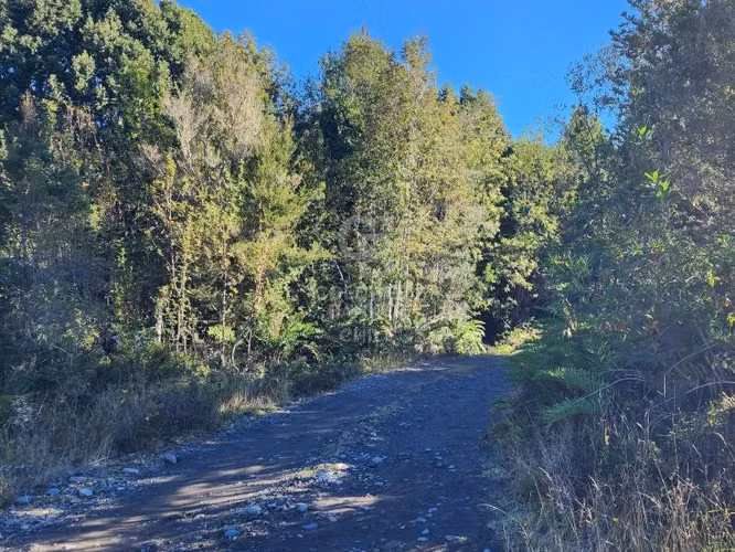 Parcela 10.000 m² cerca de Volcán Calbuco con factibilidad.