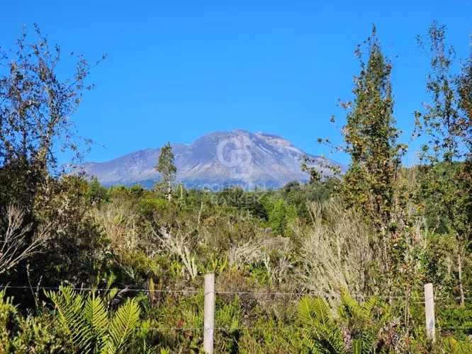 Parcela 10.000 m² cerca de Volcán Calbuco con factibilidad.