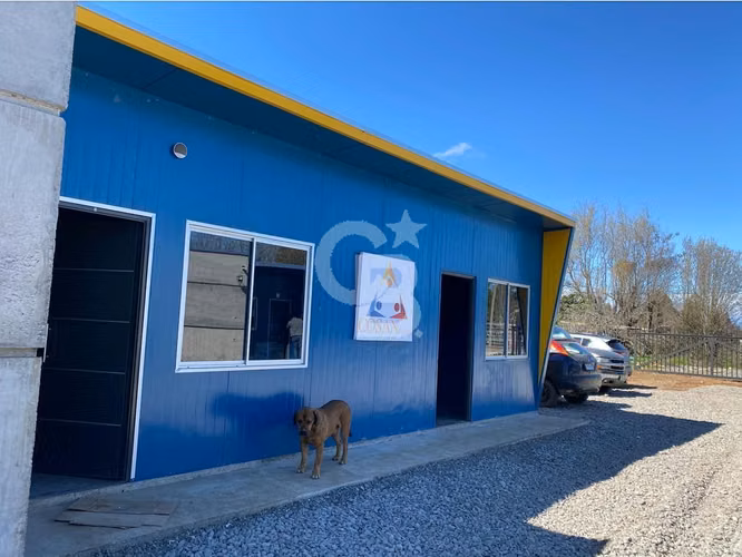 Comercial, oficina, bodega y galpón. Maule, Molina