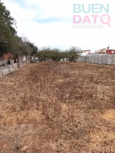 SITIO Larrain Alcalde Huerto 14