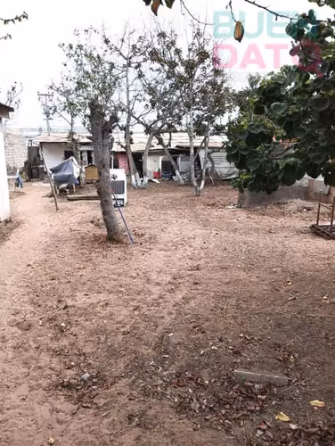 SITIO Larrain Alcalde Huerto 14