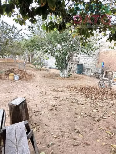SITIO Larrain Alcalde Huerto 14