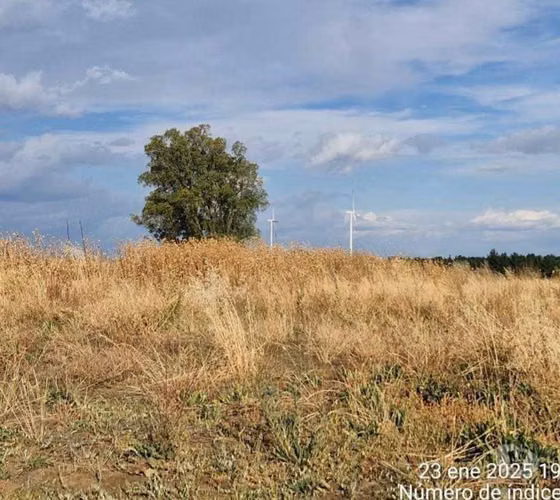 Atención Inversionistas 23ha Terreno Agrícola Millantú
