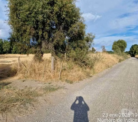 Atención Inversionistas 23ha Terreno Agrícola Millantú