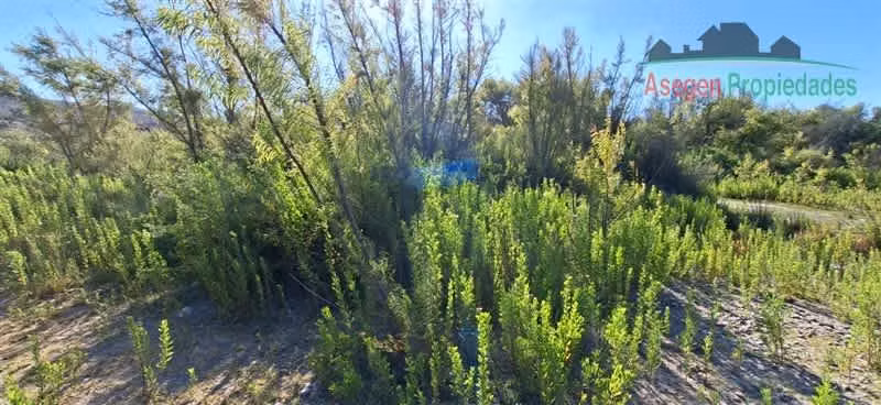 PARCELA Lote en venta en Santa Clotilde, Terreno Vegas