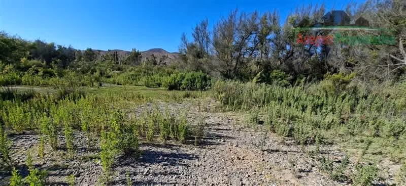 PARCELA Lote en venta en Santa Clotilde, Terreno Vegas