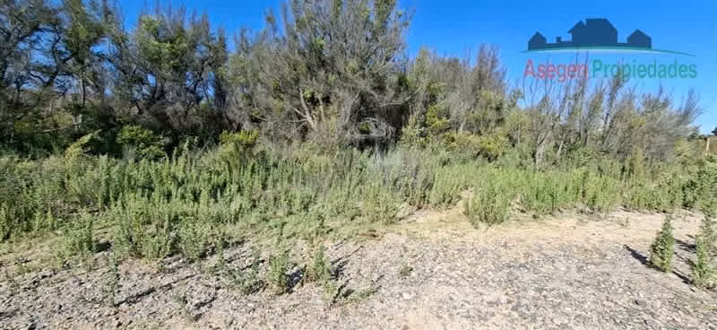 PARCELA Lote en venta en Santa Clotilde, Terreno Vegas