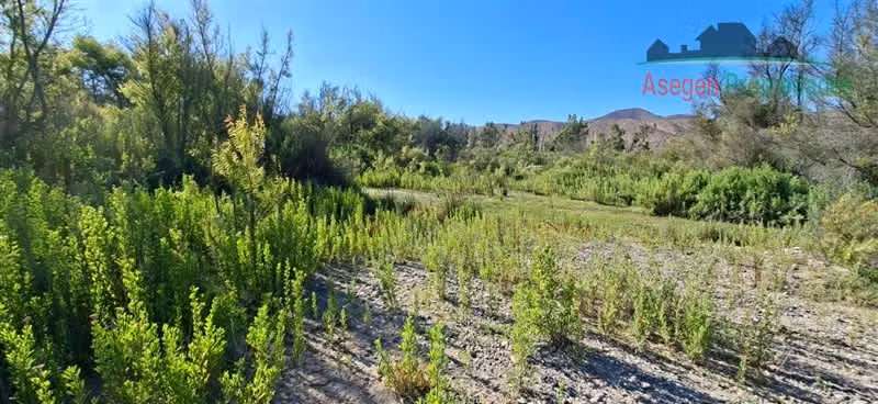 PARCELA Lote en venta en Santa Clotilde, Terreno Vegas