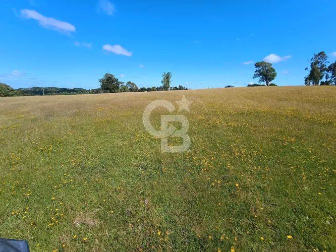 Inversión Única: Campo 40Hc con Vistas y Río en Los Muermos
