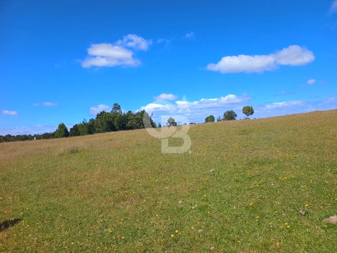 Inversión Única: Campo 40Hc con Vistas y Río en Los Muermos