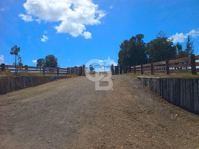 Inversión Única: Campo 40Hc con Vistas y Río en Los Muermos