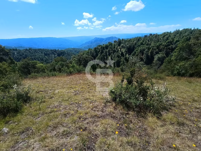 Inversión Única: Campo 40Hc con Vistas y Río en Los Muermos