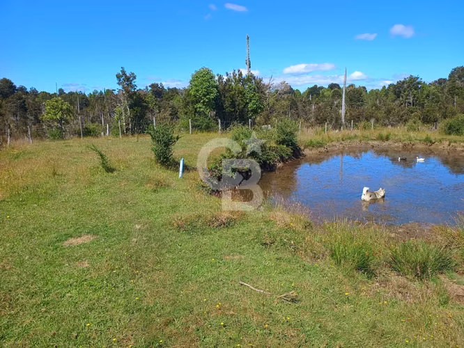 Inversión Única: Campo 40Hc con Vistas y Río en Los Muermos