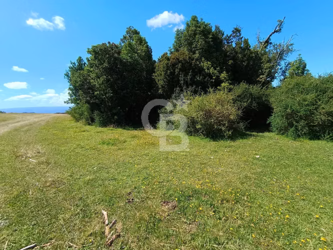 Inversión Única: Campo 40Hc con Vistas y Río en Los Muermos