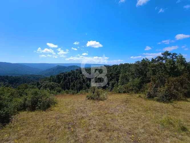 Inversión Única: Campo 40Hc con Vistas y Río en Los Muermos