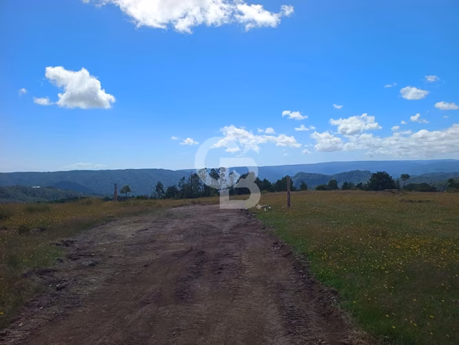Inversión Única: Campo 40Hc con Vistas y Río en Los Muermos