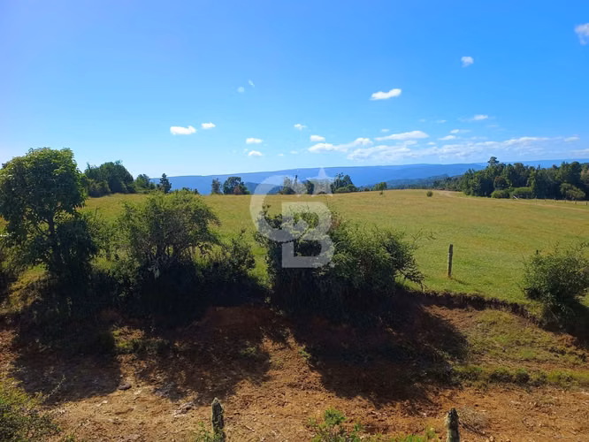 Inversión Única: Campo 40Hc con Vistas y Río en Los Muermos
