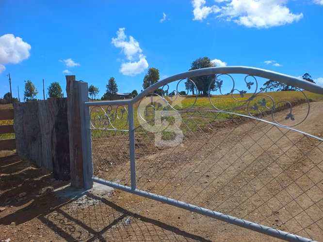 Inversión Única: Campo 40Hc con Vistas y Río en Los Muermos