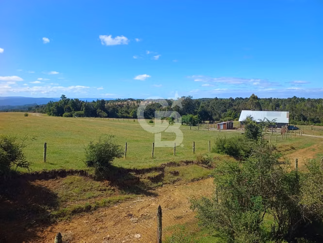 Inversión Única: Campo 40Hc con Vistas y Río en Los Muermos
