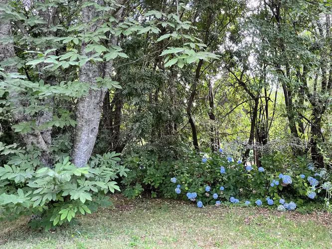 HERMOSA CASA EN CONDOMINIO PARQUE DEL LAGO A 4KM DEL HOSPITAL DE VILLARRICA