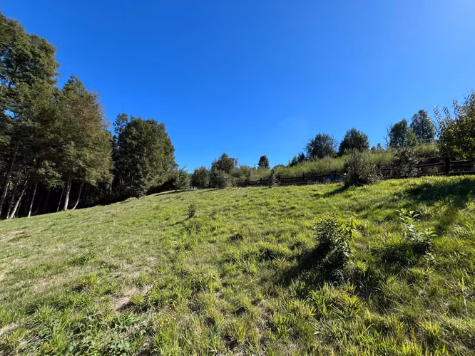 Hermosa Parcela en Rebellín Alto a 10 minutos de Valdivia
