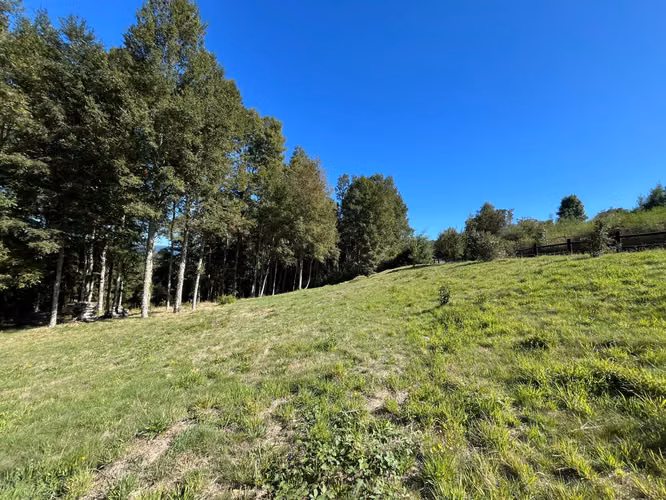 Hermosa Parcela en Rebellín Alto a 10 minutos de Valdivia