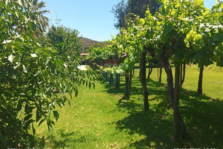 Casa en parcela, piscina y jardín. melipilla - Imagen 23