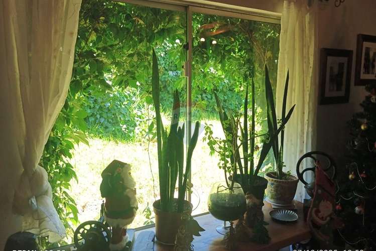 Casa en parcela, piscina y jardín. melipilla - Imagen 20