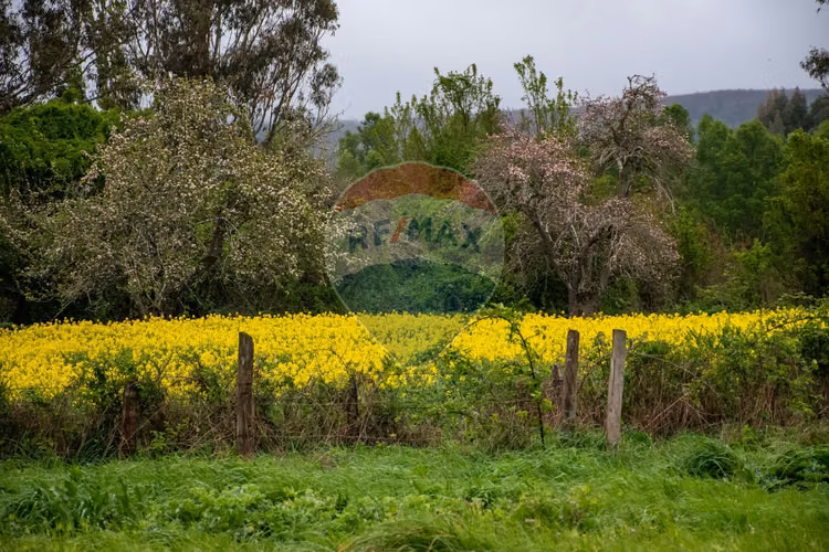 Proyecto de parcelas centinela 2 la union