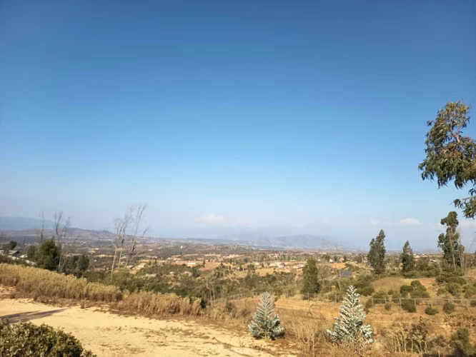 OPORTUIDAD PARCELA EN  5000 M2 LIMACHE  (142224)