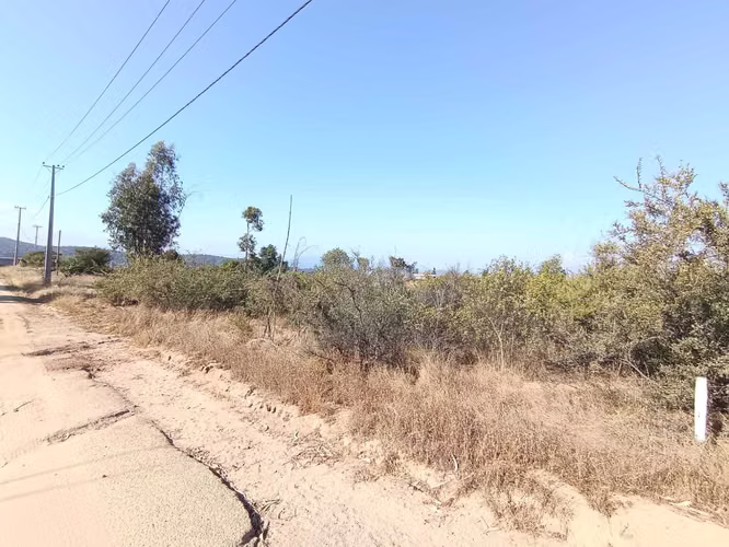 OPORTUIDAD PARCELA EN  5000 M2 LIMACHE  (142224)