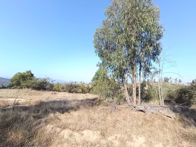 OPORTUIDAD PARCELA EN  5000 M2 LIMACHE  (142224)
