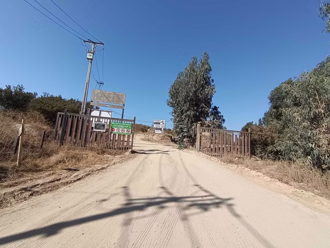 OPORTUIDAD PARCELA EN  5000 M2 LIMACHE  (142224)