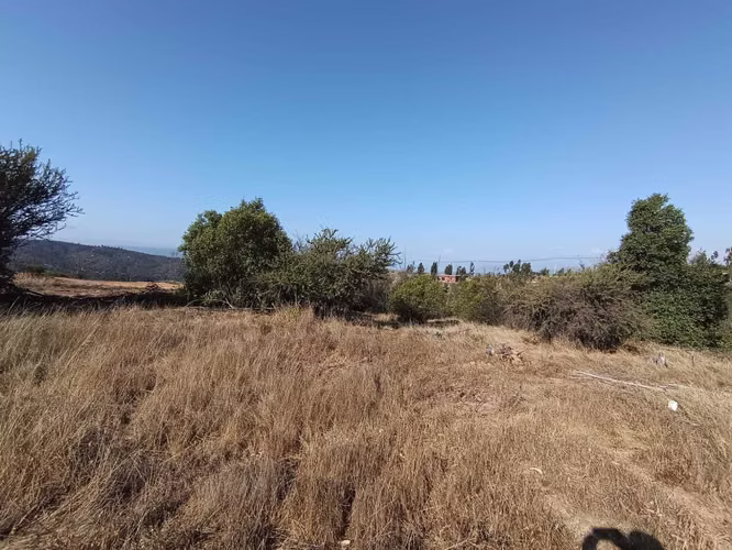 OPORTUIDAD PARCELA EN  5000 M2 LIMACHE  (142224)