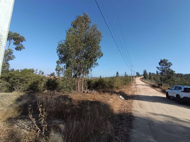 OPORTUIDAD PARCELA EN  5000 M2 LIMACHE  (142224)