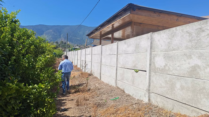OLMUE VENTA PARCELA EN PRODUCCION